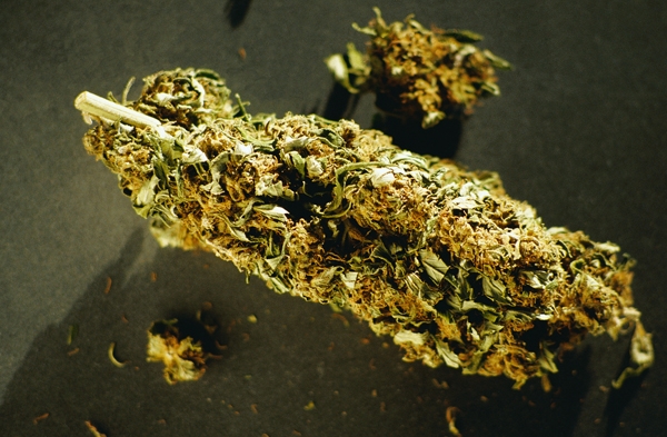 rocky-mountain-high-and-the-munchies