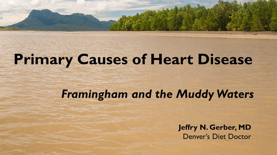 Primary Causes of Heart Disease